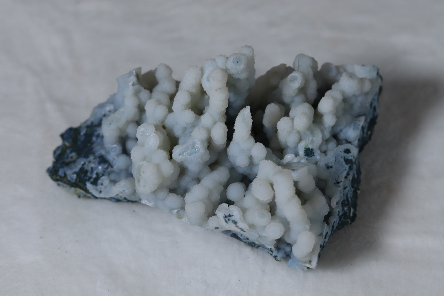 Blue chalcedony coral