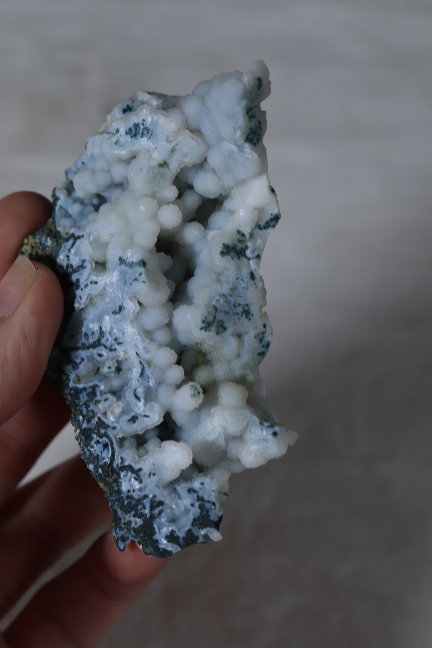 Blue Chalcedony Coral