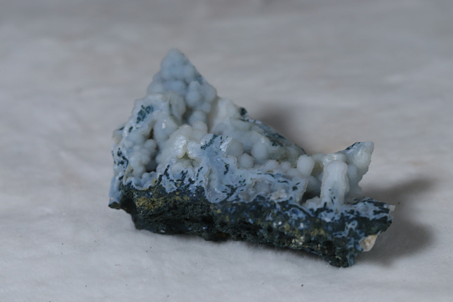 Blue Chalcedony Coral