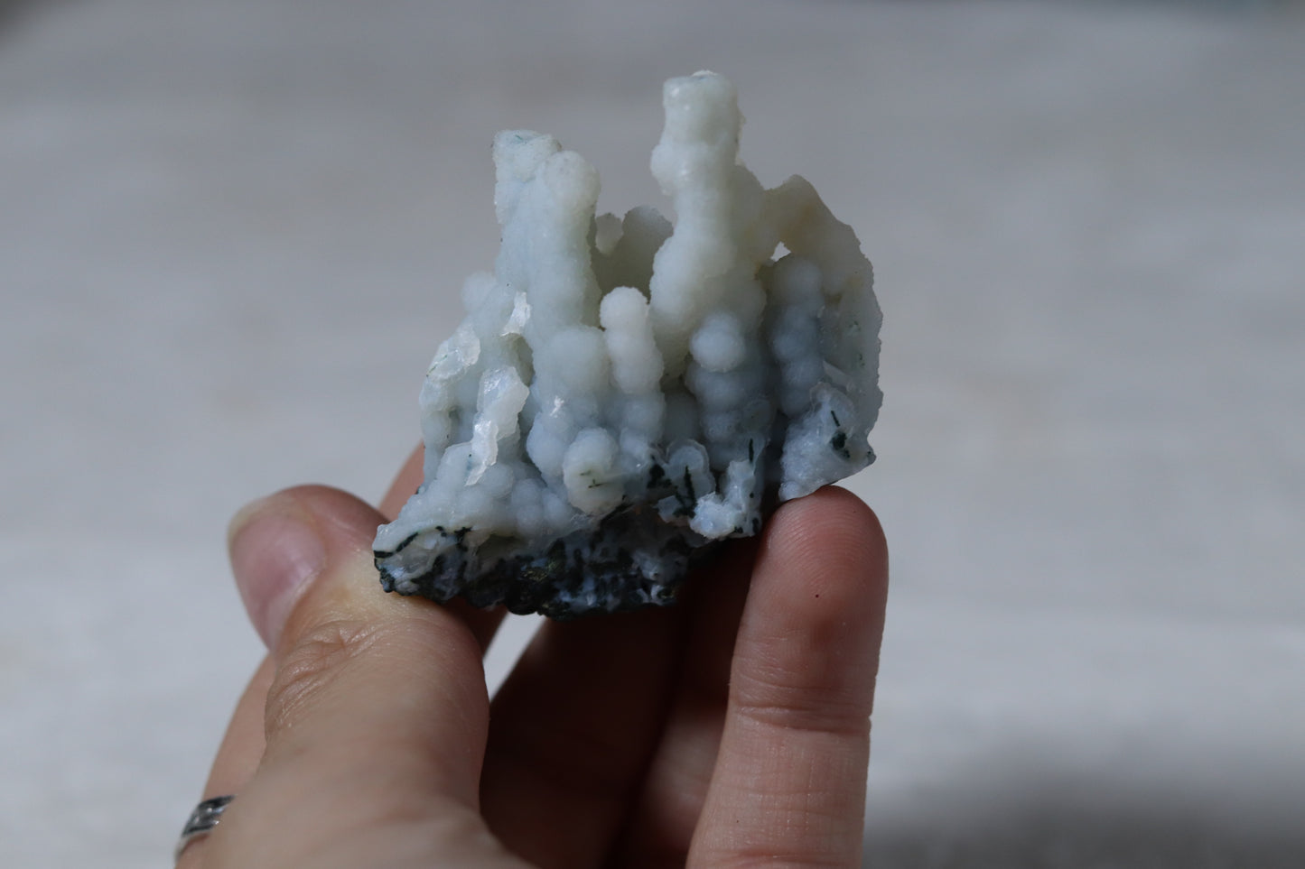 Blue chalcedony coral