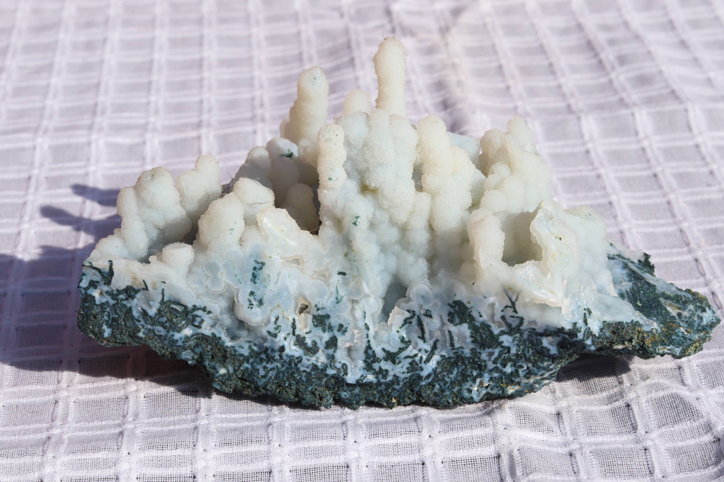 Blue chalcedony coral