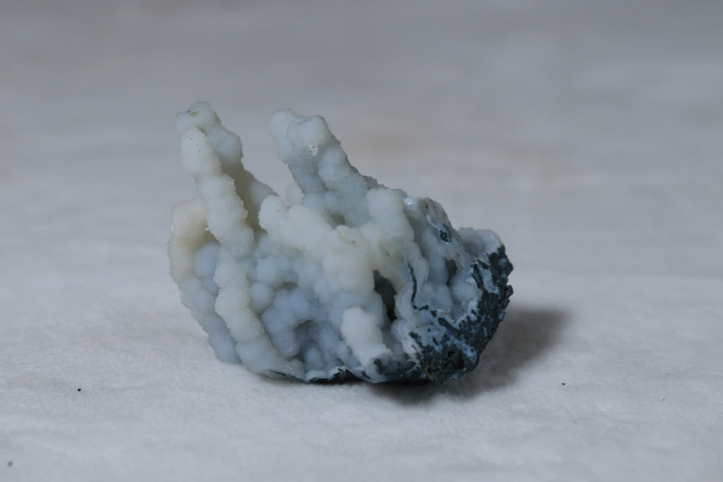 Blue chalcedony coral