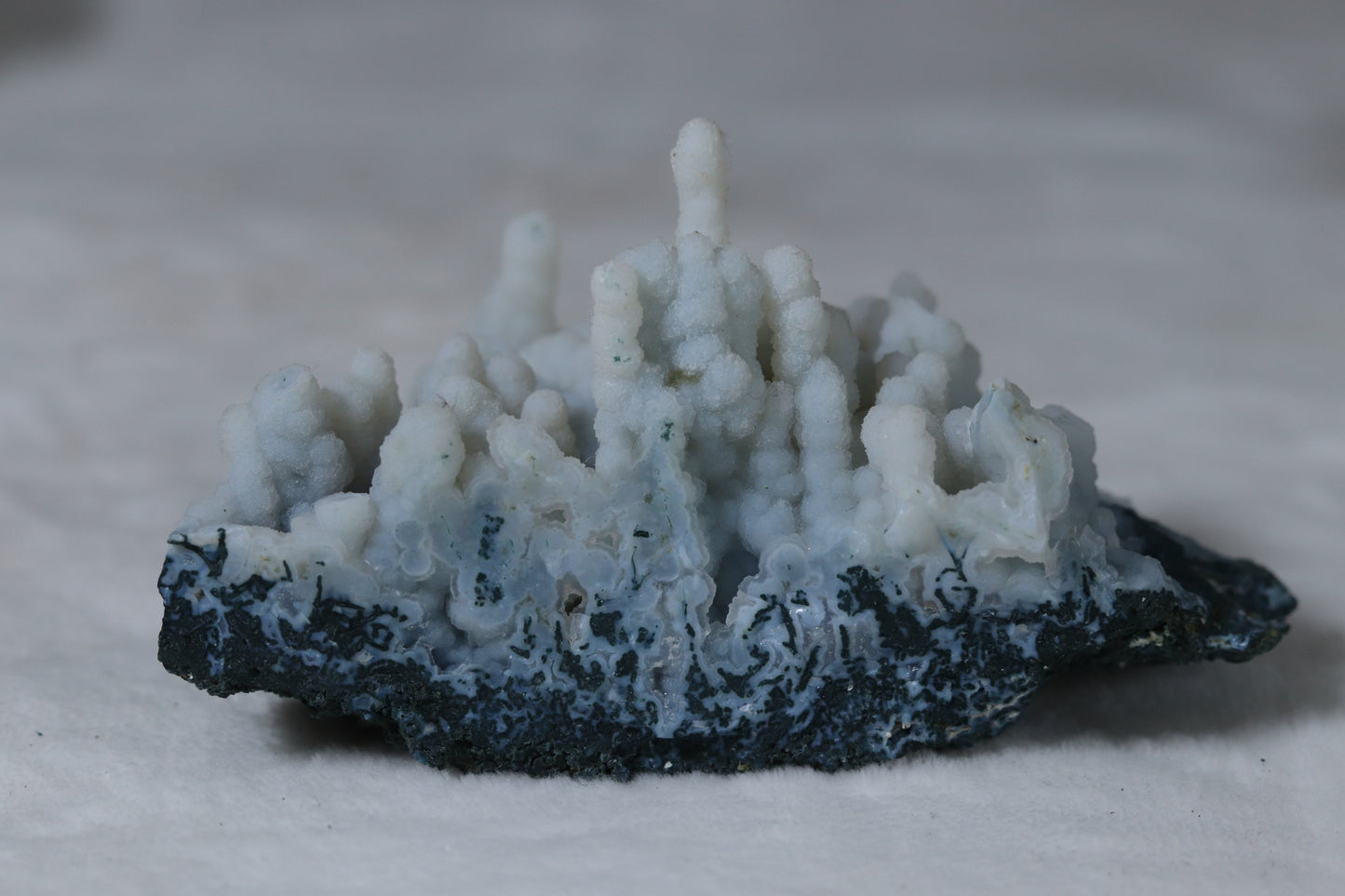 Blue chalcedony coral