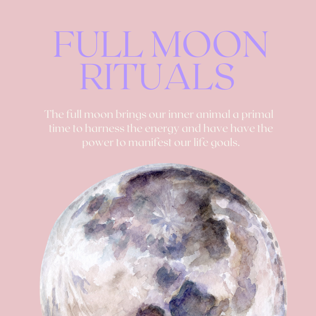 Full Moon Magic  printable Worksheets