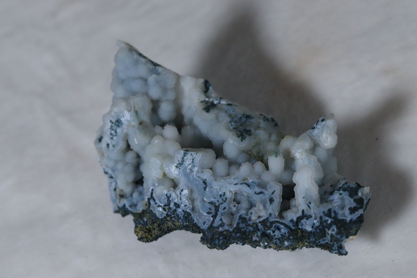Blue Chalcedony Coral