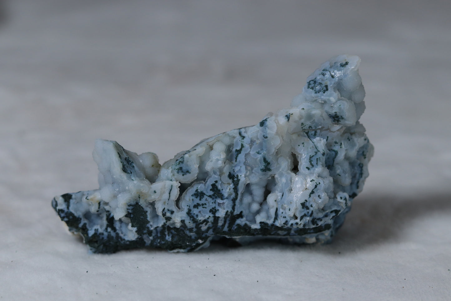 Blue Chalcedony Coral