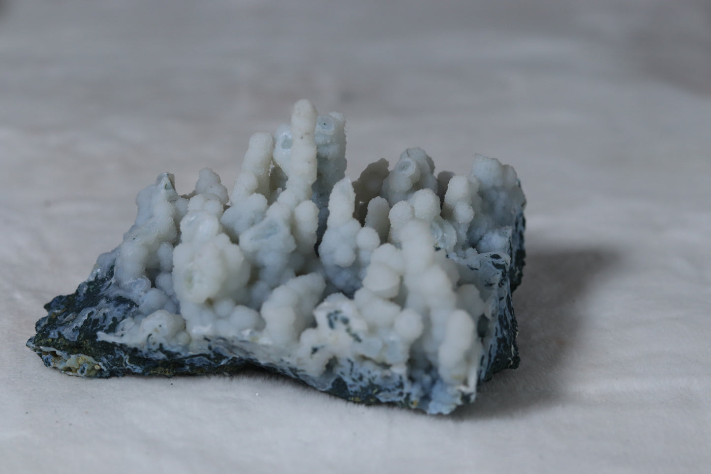Blue chalcedony coral