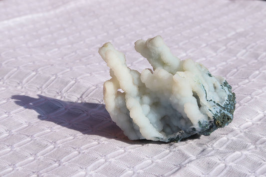 Blue chalcedony coral