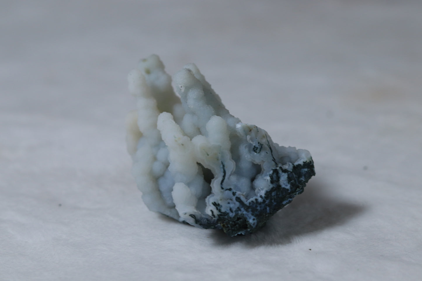 Blue chalcedony coral